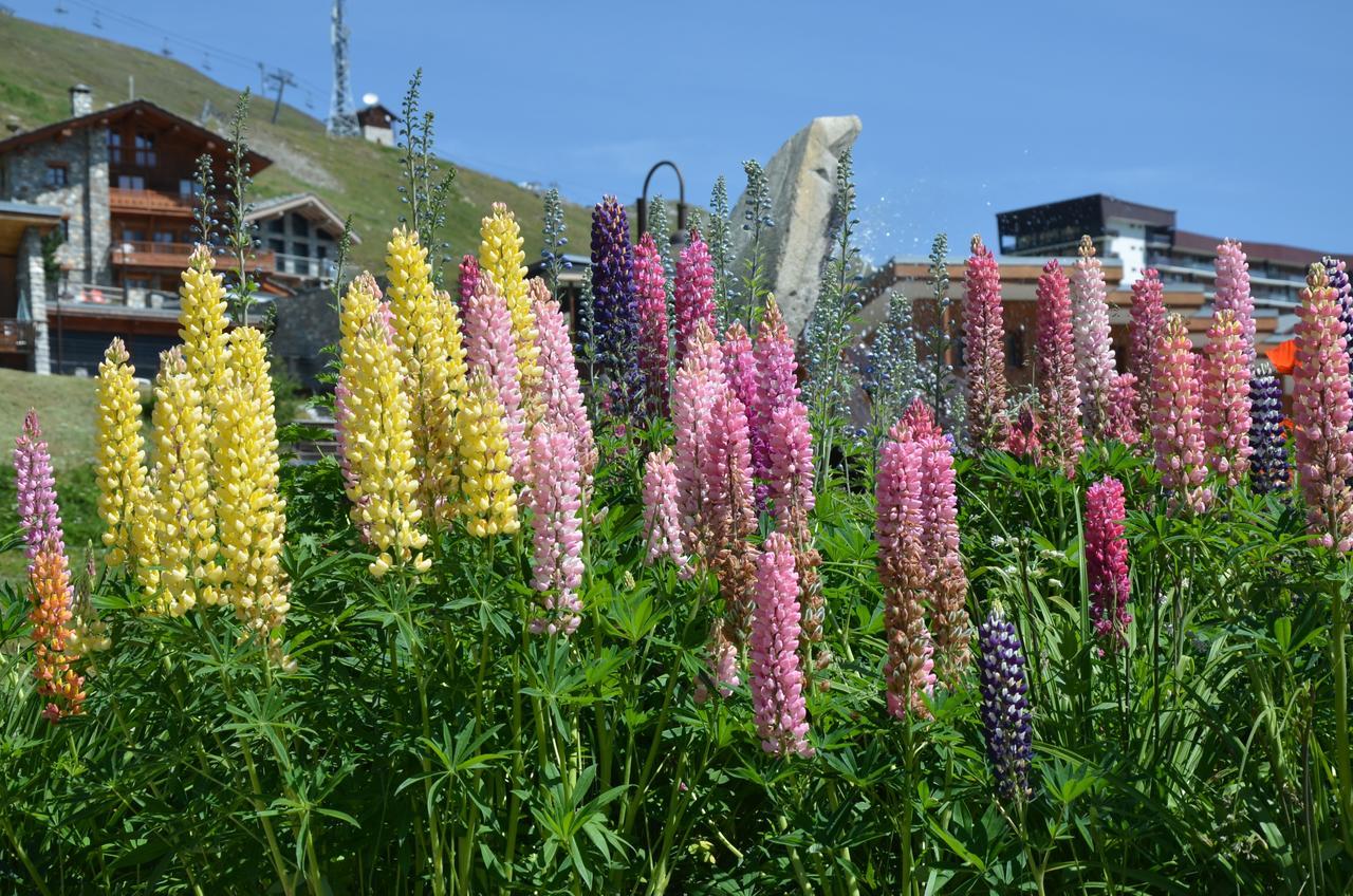 Residence Santa Terra Tignes Dış mekan fotoğraf